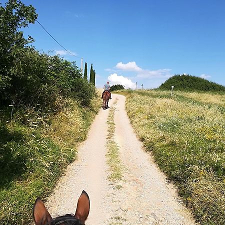 Acquerello Hotel San Quirico d'Orcia Bagian luar foto
